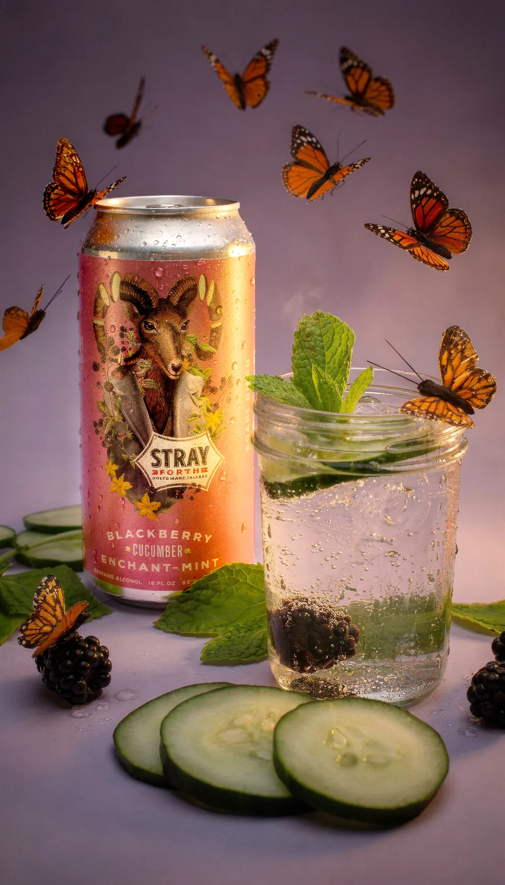 Stray Forth Hard Seltzer: Social story content
